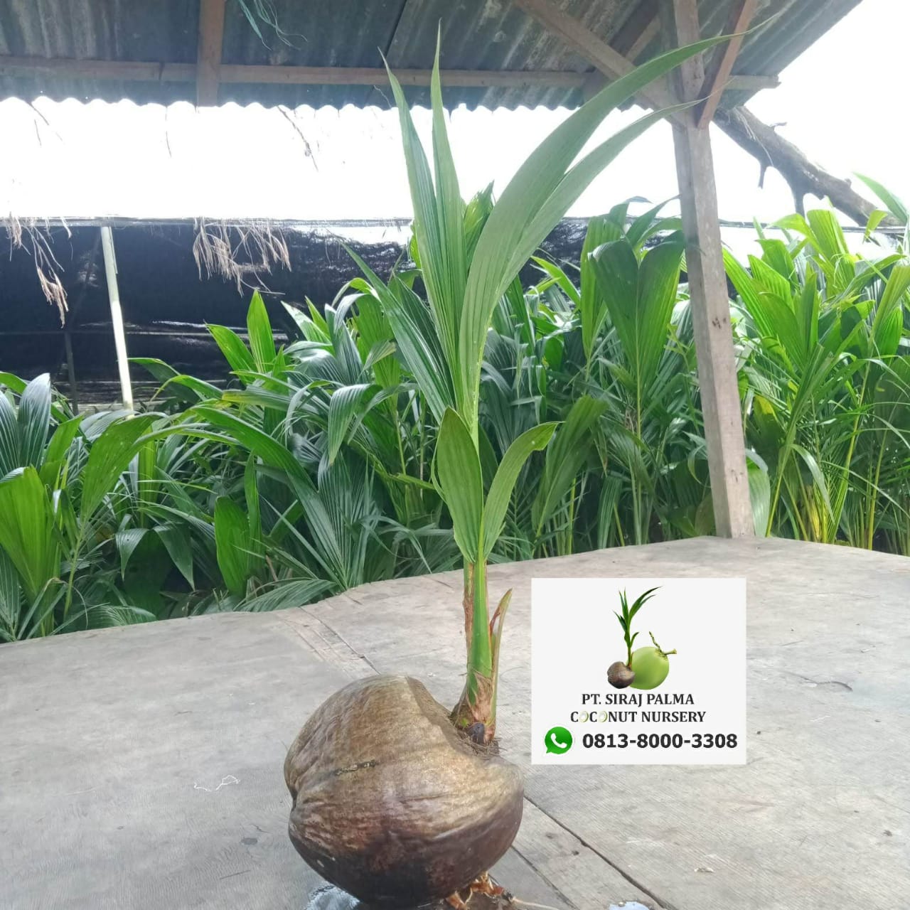 WhatsApp Image 2025-12-15 at 10.14.28